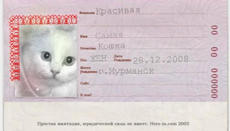 Сделать Фото На Паспорт Мурманск